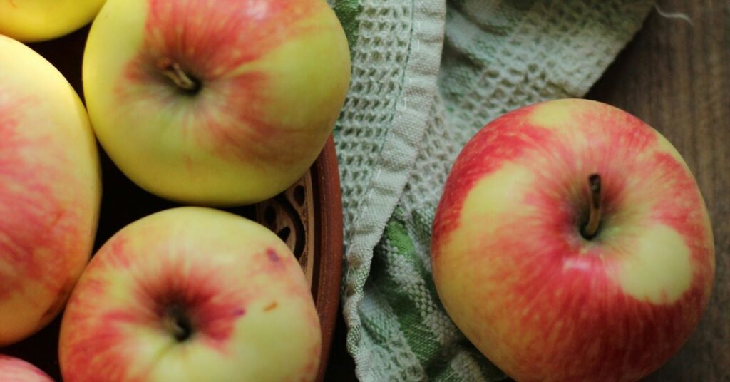 Apple Pancake Recipes Fruity and Delicious