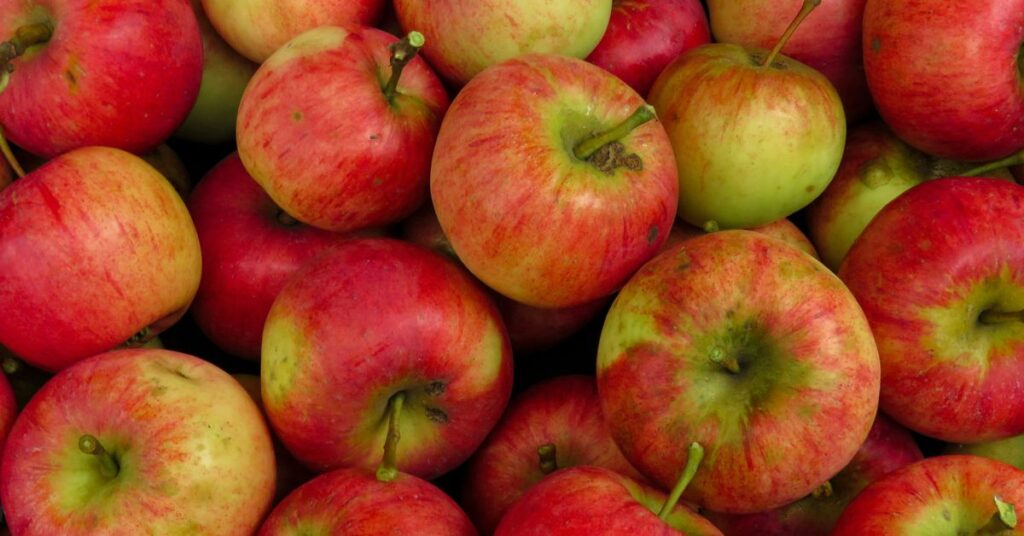 Fall Apple Recipes Sweet and Savory Delights