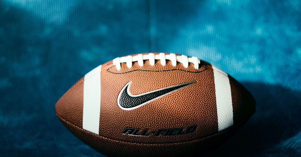 Economic Analysis of Sports Franchise Value