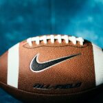 Economic Analysis of Sports Franchise Value