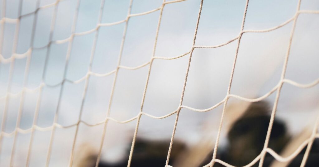 Economic Analysis of Sports Sponsorship Investments